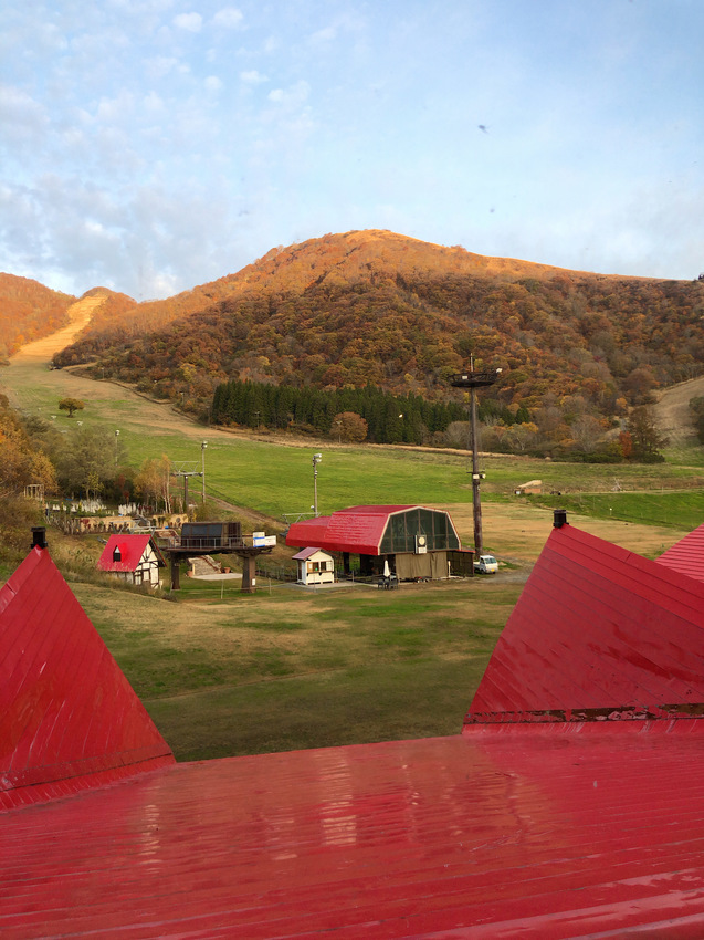 IMG_4880.JPG